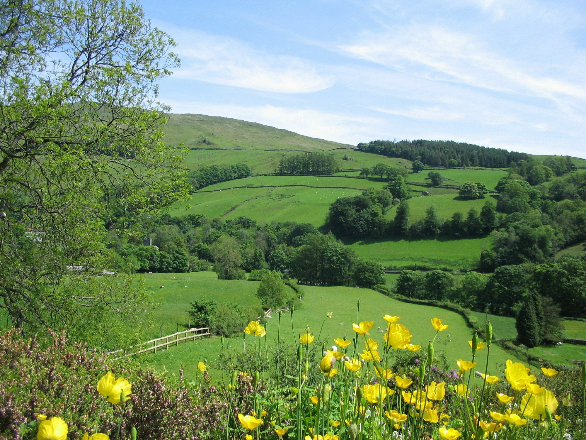 High Fold Guest House Troutbeck  Exterior photo